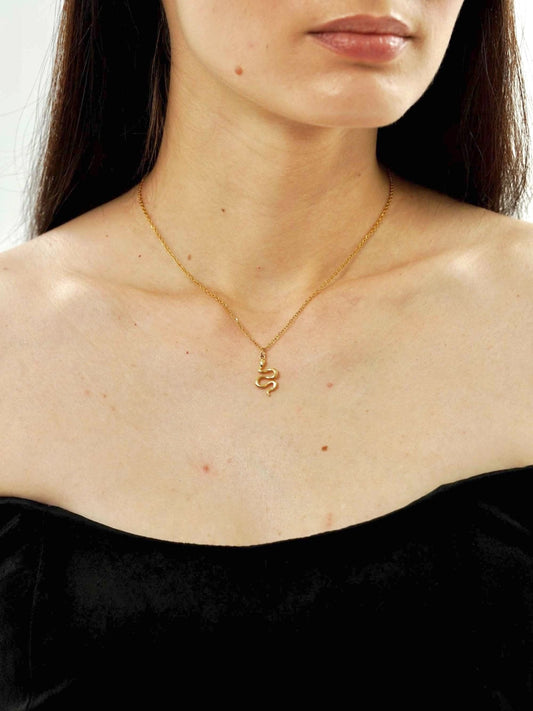Dainty Snake Charm Necklace