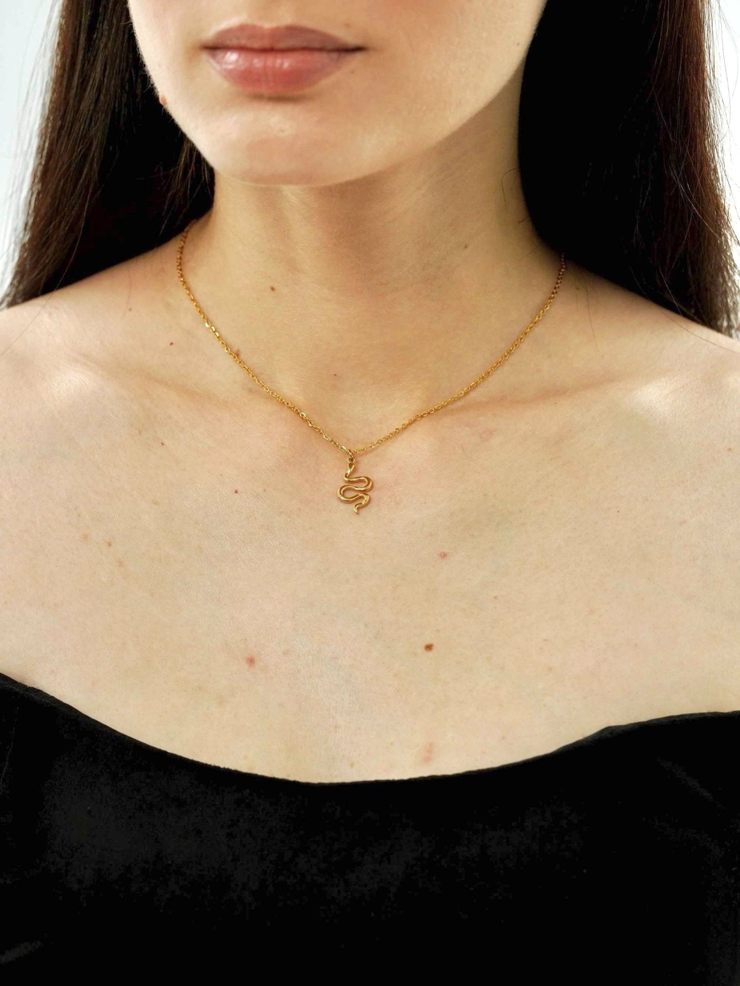 Dainty Snake Charm Necklace